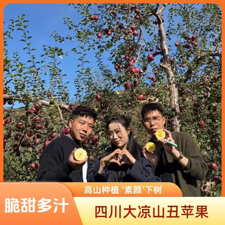 四川大凉山丑苹果脆甜多汁净重5-8斤装