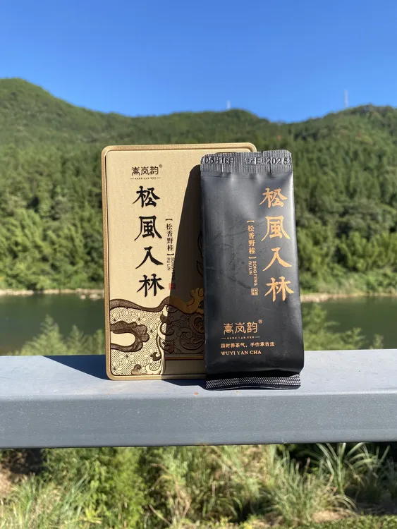 【松風入林】肉桂 武夷岩茶野桂 生态肉桂松香果香桂皮香乌龙茶茶叶