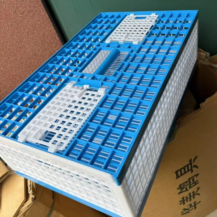 塑料训放笼70x42x23