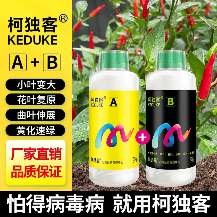 大柯独客辣椒防小叶花叶黄叶转绿卷叶落叶皱叶变展