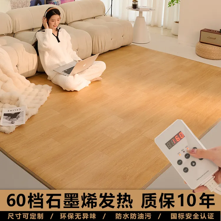 专属电热地毯客厅石墨烯碳晶移动地暖垫取暖器防水发热地垫极简免打理