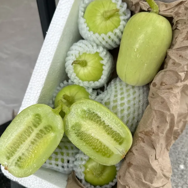 锅哥小黄瓜/玉女黄瓜 现摘现发即食脆嫩无刺新鲜清脆爽口应季蔬菜