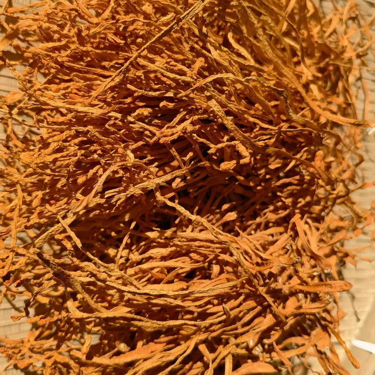 云南土特产阿红臻选～虫草花～煲汤佳品