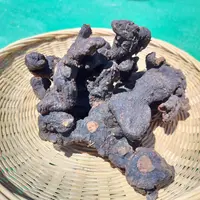 【庆娃代卖增收】九蒸黄精