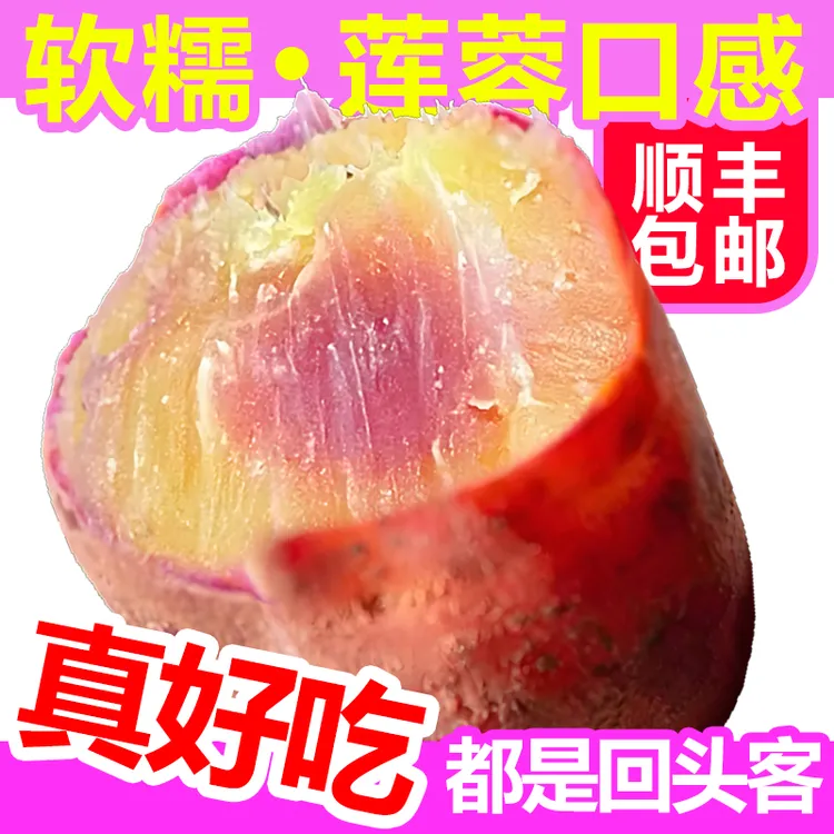 正宗南沙一点红番薯网红番薯可蒸可烤广州沙地红薯软糯蜜薯烤地瓜