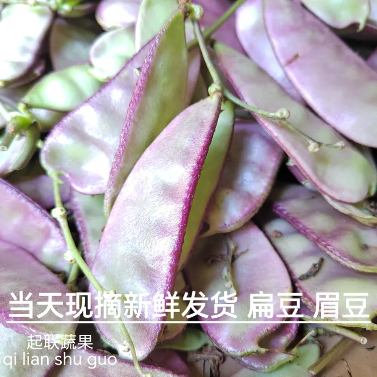 贵州山地农村露天扁豆猪耳豆豆紫边绿眉自然生长的农家蔬菜正宗