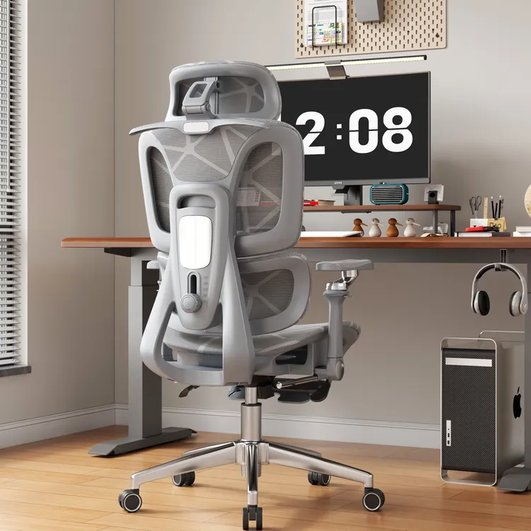 人体工学椅电脑椅电竞椅舒适久坐家用办公座椅升降靠背护腰椅子