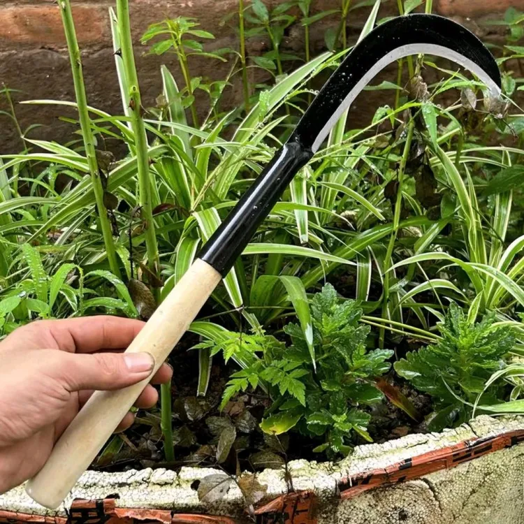 农用锰钢多功能割草割麦割韭菜户外收割除草工具小镰刀割草刀商品图