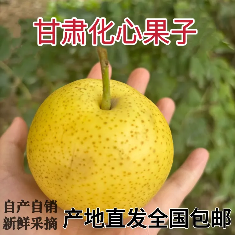 兰州黄软儿梨甘肃特产冻梨软梨香水梨化心梨新鲜采摘(非冻果)