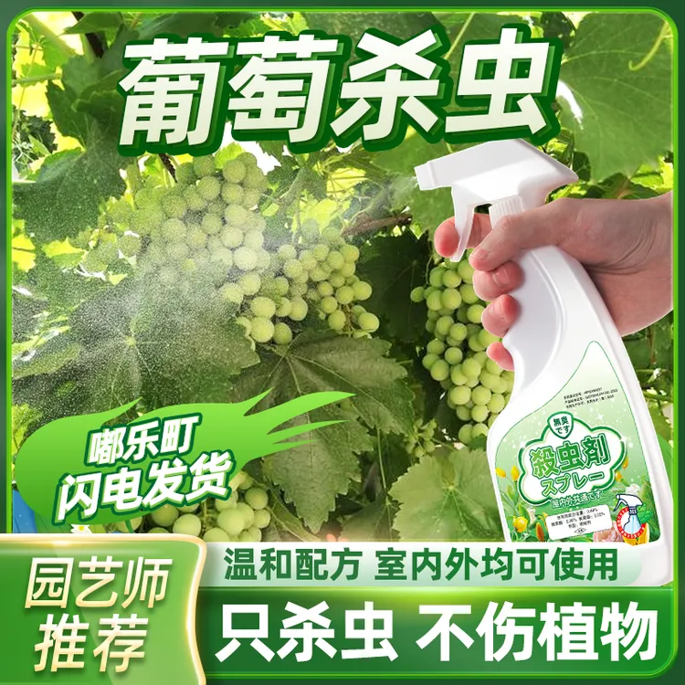 打葡萄树专用打虫药杀虫剂虫药除虫用药防虫驱虫治萄葡钻心非绿植