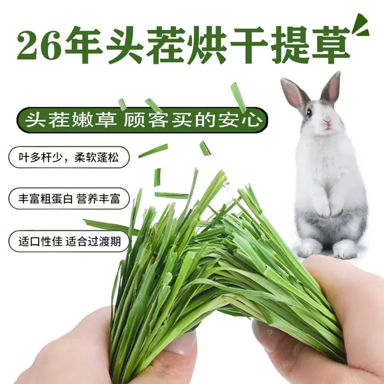 2026年头茬烘干提摩西草新草兔子龙猫荷兰猪主食草