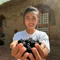 （林林）手工晾晒【桑葚干】果香煮茶熬粥味道鲜  家中保温杯常备