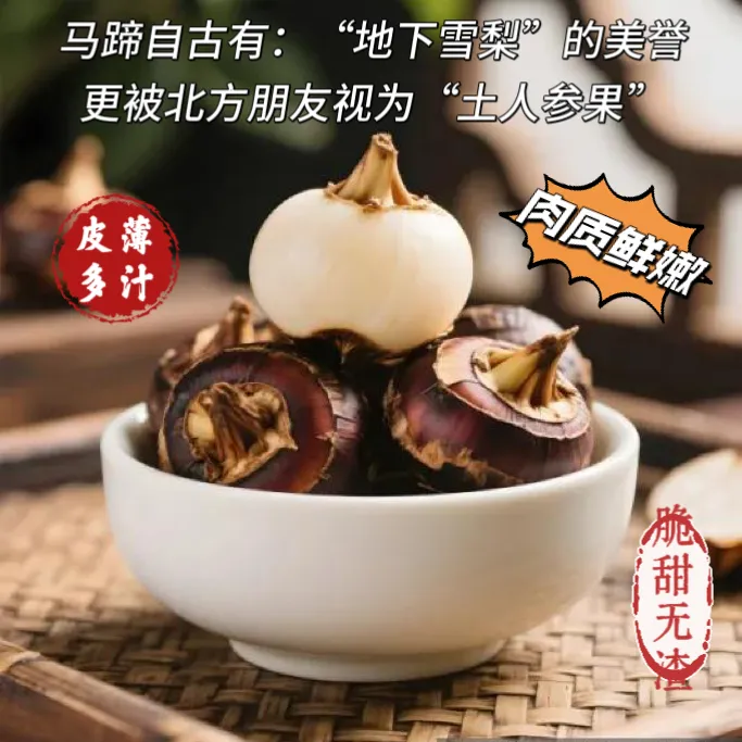 广西马蹄荸荠冬至新鲜现挖清甜脆爽红皮应季水果农家产地直发