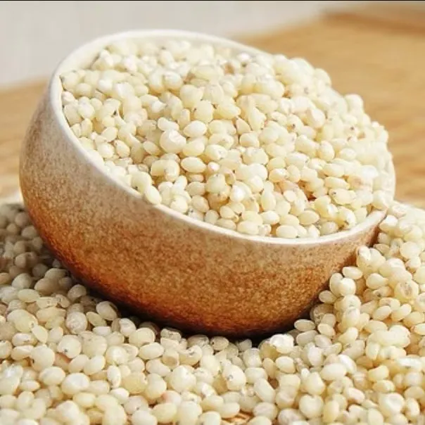 笨高粱米白高粱米东北杂粮粗粮新米 五斤装