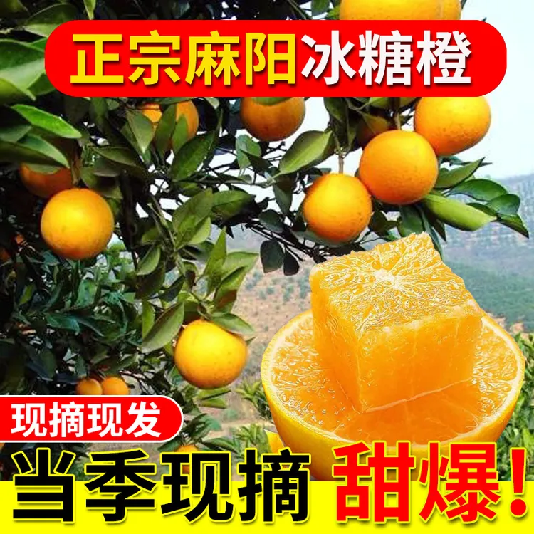 湖南麻阳冰糖橙新鲜橙子10水果当季正宗整箱果冻冰糖甜橙手剥现摘