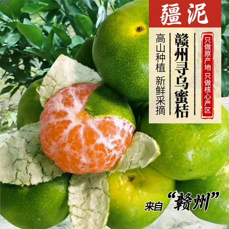 【顺丰/京东包邮 】江西赣南寻乌蜜桔无核酸甜可口产地直发