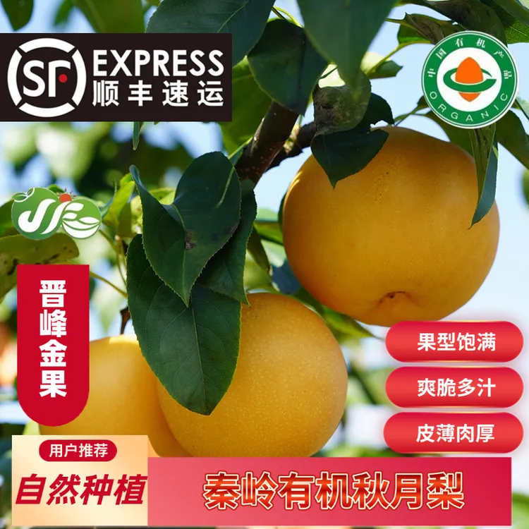 【达人热卖】顺丰包邮洋县正宗秦岭有机秋月梨当季新鲜6枚一级精品