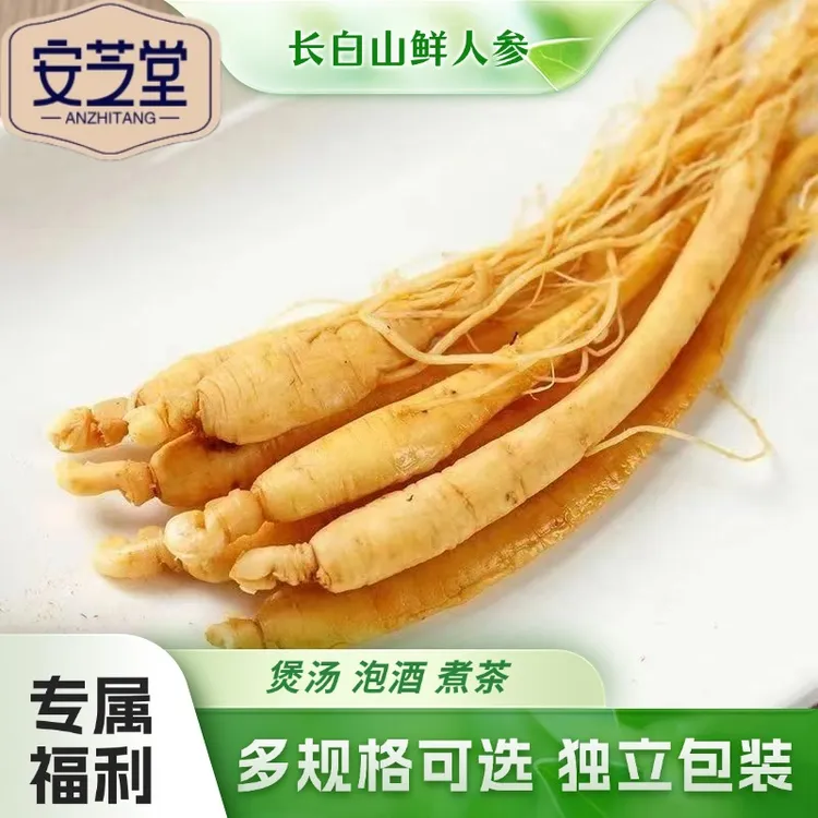 [买5根多送1根] 长白山泡酒专用参保鲜煲汤泡酒东北特产(没有礼盒