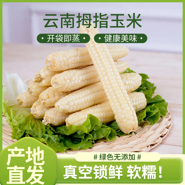 香糯婴幼儿拇指玉米精品A级果宝宝小玉米甜糯手指玉米非转基因