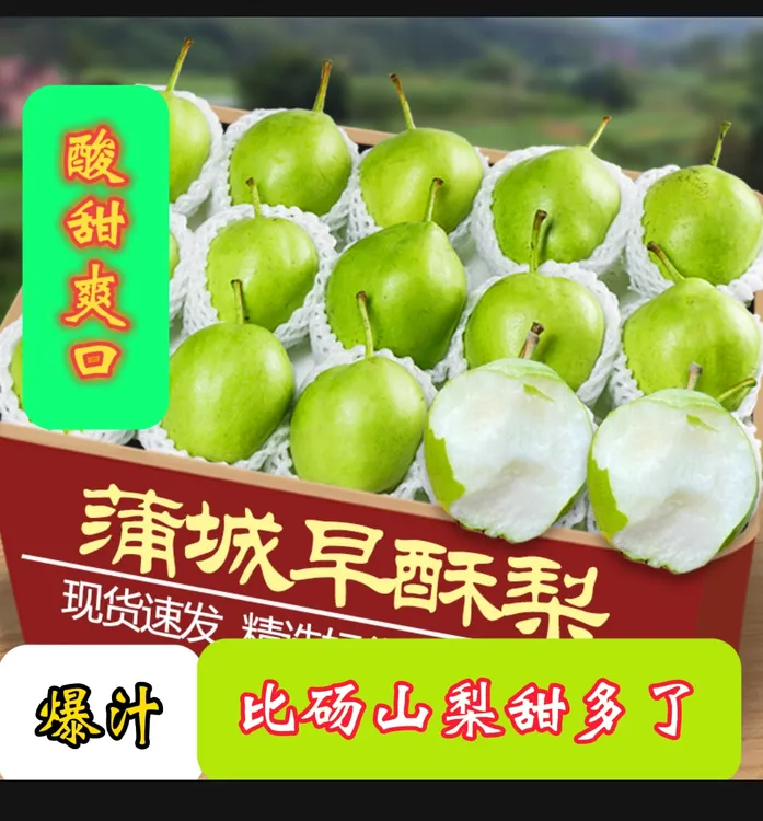 正宗陕西早酥梨非砀山梨酸甜爽口送礼水果梨子整箱网红水果苹果梨