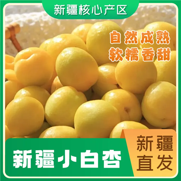 【顺丰空运】新疆小白杏现摘现发香甜软糯饱满多汁口感绵密当季水果