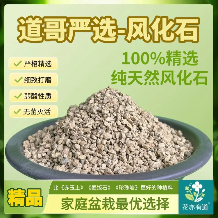 花亦有道-道哥严选天然风化石养花扦插种植料多肉茉莉栀子茉莉花