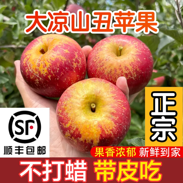 【顺丰包邮】四川大凉山盐源丑苹果当季新鲜水果脆甜多汁