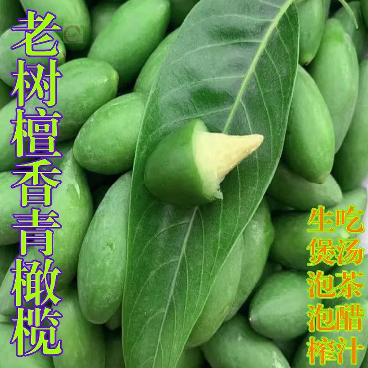 福州正宗老树檀香橄榄新鲜酥脆无渣孕妇水果生吃回甘煲汤青橄榄果