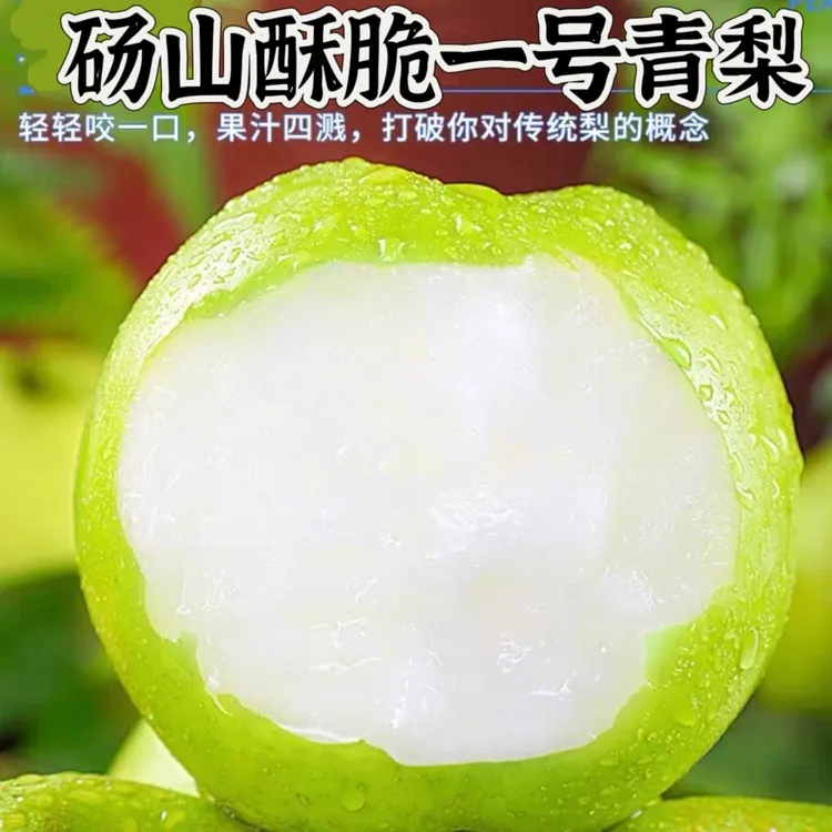 安徽砀山青梨脆甜多汁4.5-5斤新鲜应季水果包邮
