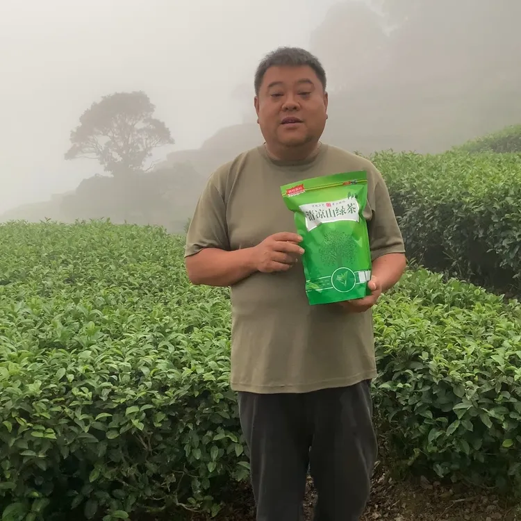 2025年1斤装清凉山秋白露新茶上市客家炒绿土特产浓香型