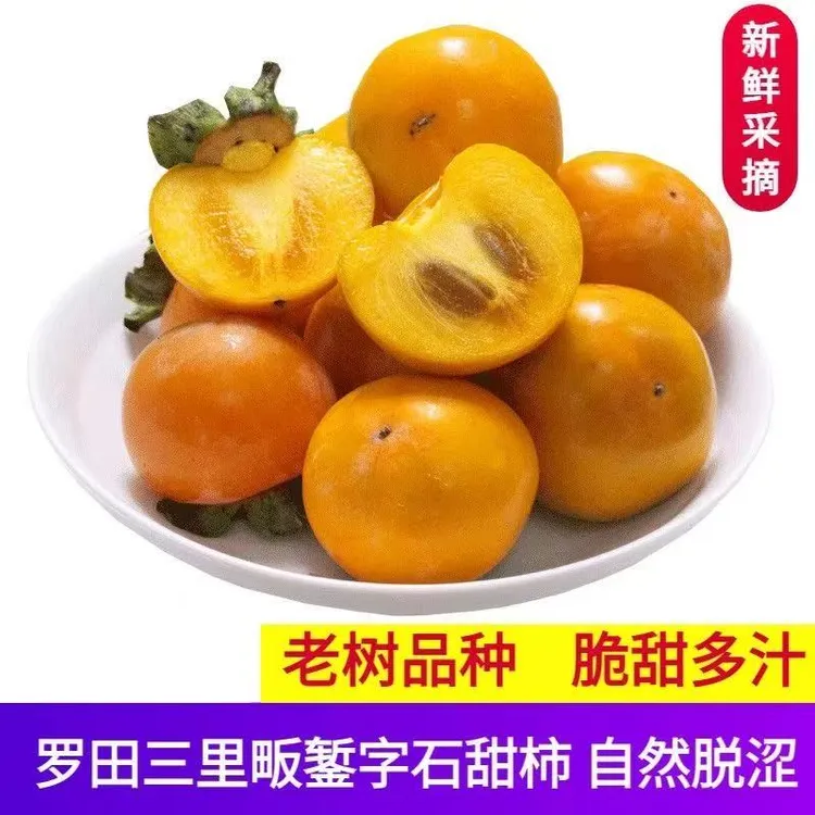 罗田甜柿子农家现摘现发当季新鲜水果三里畈錾子石脆甜柿子