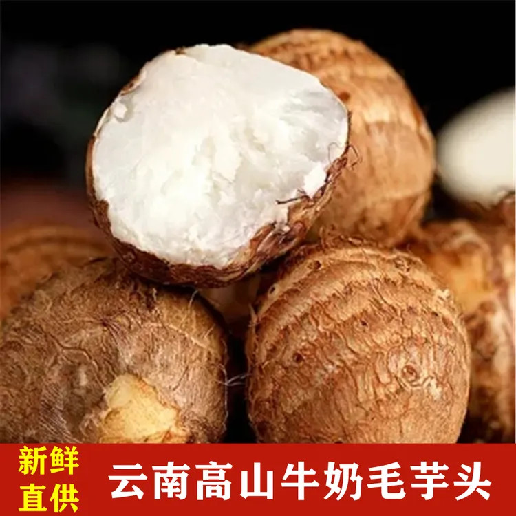 云南牛奶毛芋头10斤/5斤/3斤包邮现挖小芋艿软糯香甜高原蔬菜特产