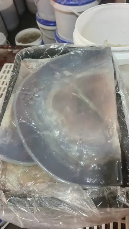 渤海湾天然野生海蜇皮提干皮红太阳口感爽脆适合凉拌的海鲜