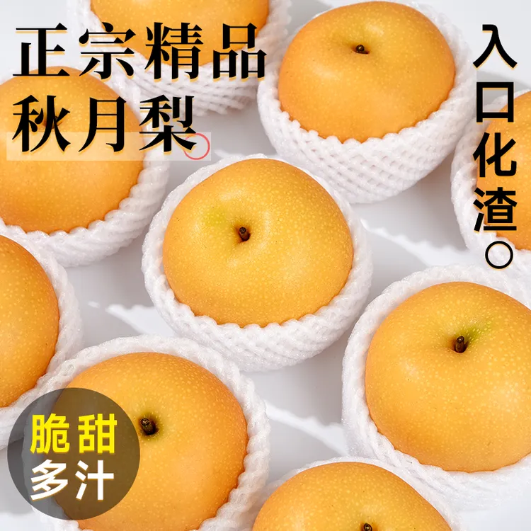 正宗秋月梨梨子头茬大果新鲜水果应当季整箱包邮批发蜜梨冰糖雪梨