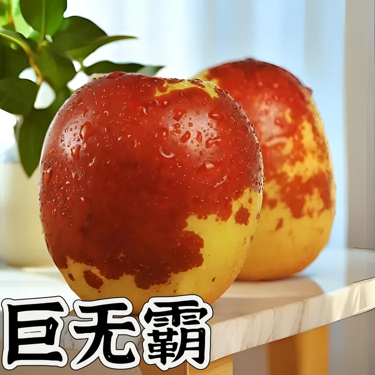 巨无霸正宗陕西大荔冬枣现摘抖音回家现发应季新鲜脆甜多汁水果