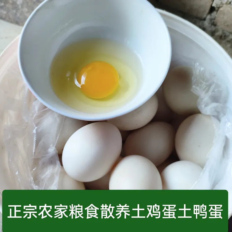 〔嘉宾推荐〕农家散养土鸡蛋土鸭蛋纯粮食喂养新鲜营养健康