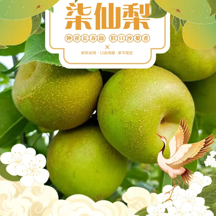 实惠装 新鲜现采现发旧口园黄梨应季水果皮薄口感脆甜无渣