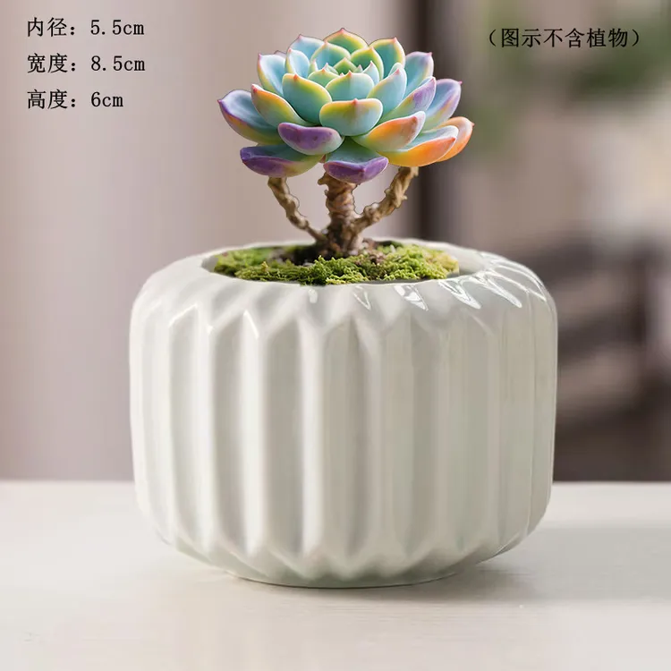 迷你摆件多肉装饰多肉陶瓷花盆拇指盆可爱小口径控型彩绘手绘窑变