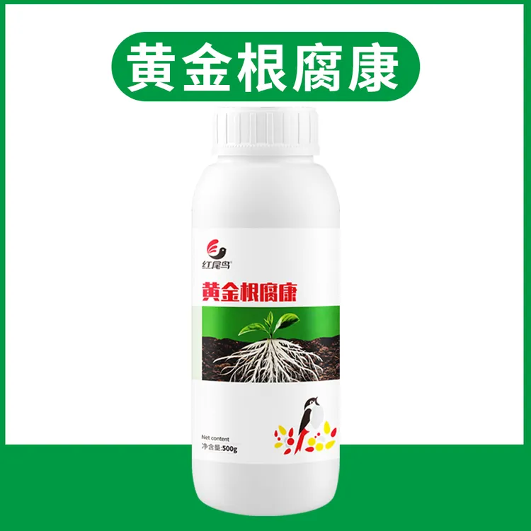 红尾鸟黄金根腐康农作物根腐抑制促根壮根生根