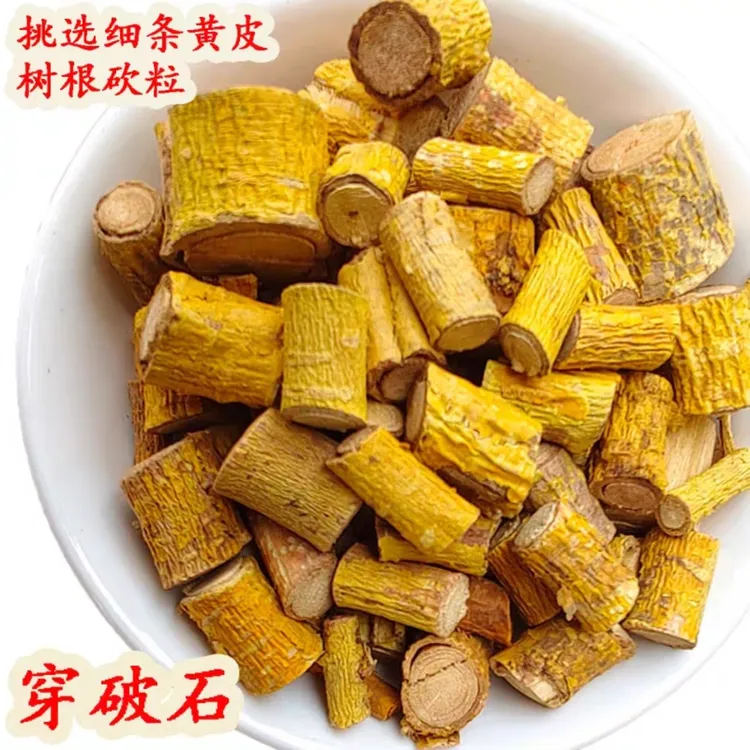 野生穿破石根九层皮根煲汤煲茶