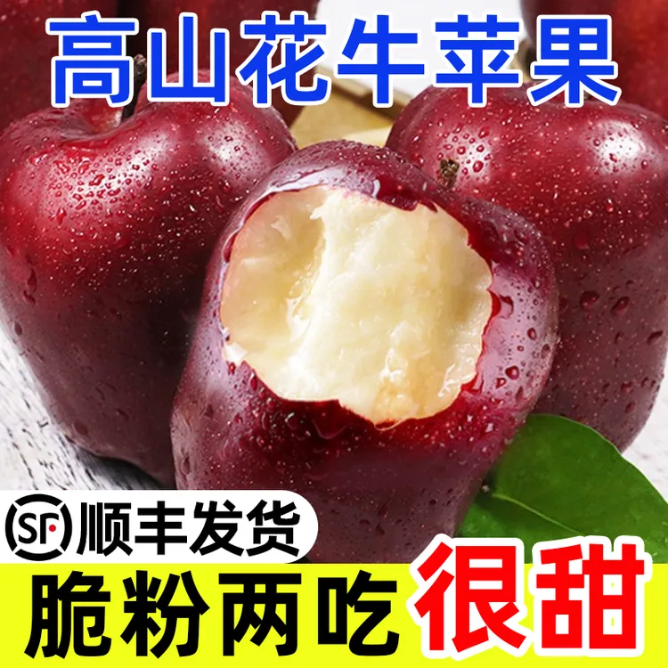 【顺丰发货】甘肃天水花牛苹果现摘特产酥脆蛇果新鲜脆甜多汁M