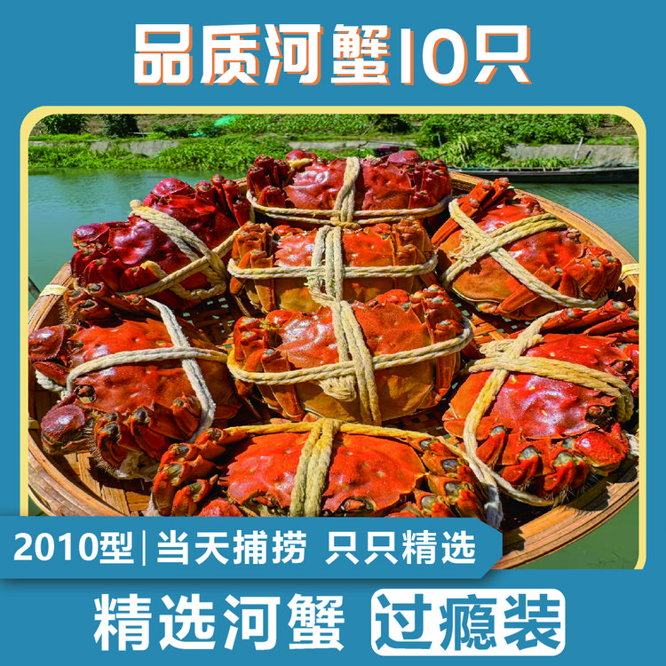 【活蟹】鲜活河蟹1.8--2.2两/10只装江苏鲜活清水蟹公蟹顺丰发
