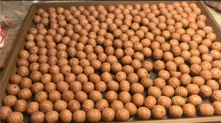 精品猴头土豪散籽12mm精挑精卡精打底精抛光