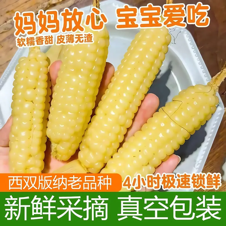 西双版纳拇指小玉米软糯香甜傣家甜黏手指玉米宝宝玉米棒早餐代餐
