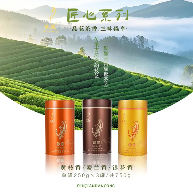 正宗凤凰单丛茶春蜜兰香春银花香春黄枝香1罐250克铁罐简洁大气