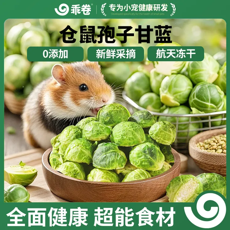 乖卷仓鼠零食冻干孢子甘蓝蔬菜蜜袋鼯金丝熊磨牙棒专用营养粮食