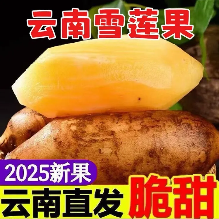 D（现挖现发）清甜多汁10斤云南天山雪连果应季水果包邮