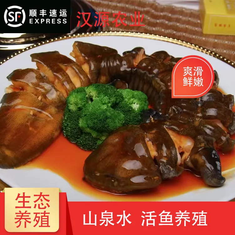 汉源秦岭人工生态养殖娃娃鱼山泉水活鱼活虾饲养子二代1-10斤