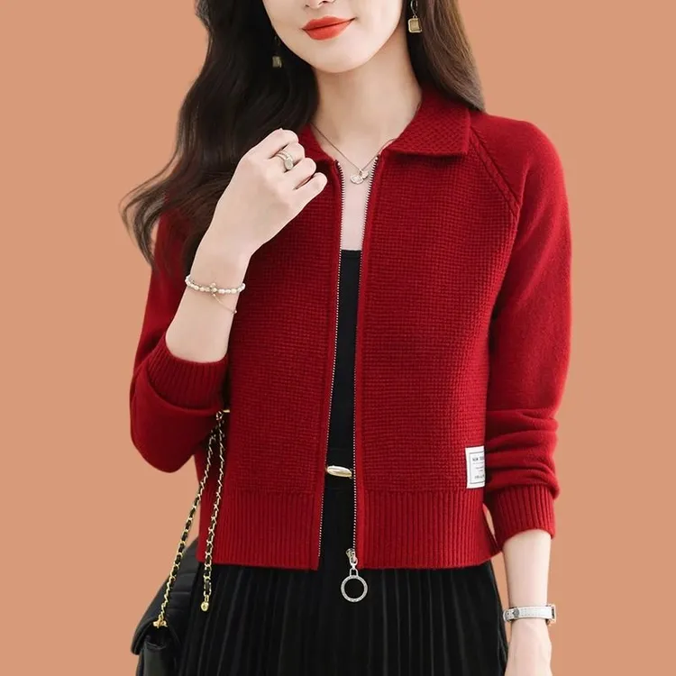 时尚小香风时尚长袖针织衫开衫短款小个子拉链翻领毛衣外套春秋装
