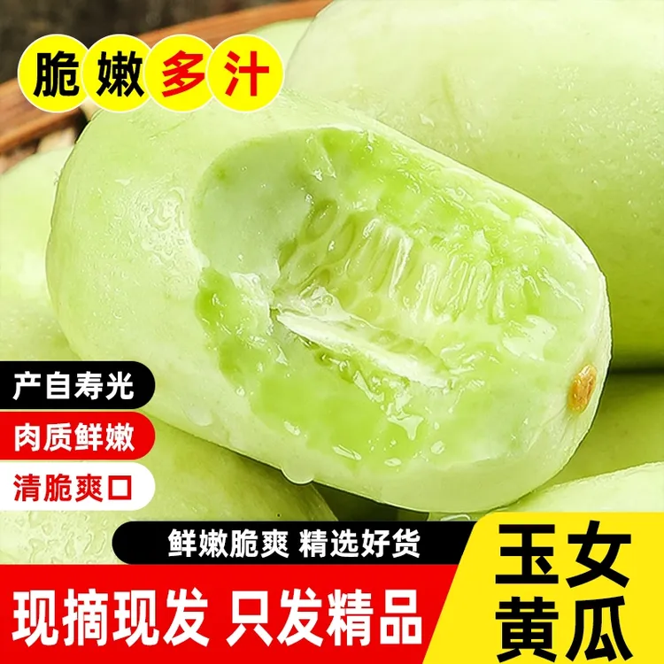 山东现摘金童玉女小黄瓜新鲜脆甜爽口拇指水果小黄瓜玉女水果黄瓜